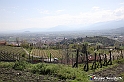 VBS_7425 - PressTour educational dedicato ai vini del Pinerolese e all’olio prodotto sulla collina di Pinerolo